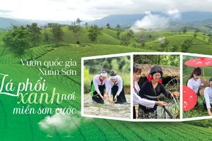 Vườn quốc gia Xuân Sơn - “Lá phổi xanh” nơi miền sơn cước