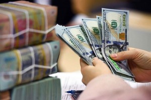 Vietnam's forex market unfazed by dollar surge on unofficial channels