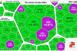 VN-Index skyrockets to 1,270 points