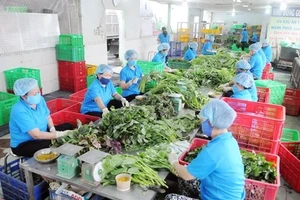 Consistency in responsibility for food safety in HCMC