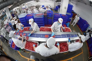 A product packaging assembly line in Vissan (Photo: SGGP)