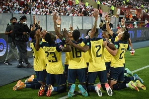 Đội tuyển Ecuador 