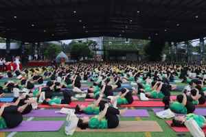 Các huấn luyện viên, hội viên Yoga đồng diễn các bài tập Yoga tại sự kiện.