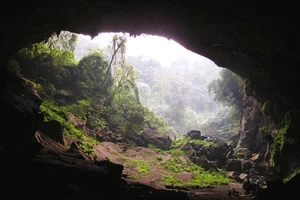 Phát hiện hai hang động mới tại vùng lõi di sản Phong Nha - Kẻ Bàng