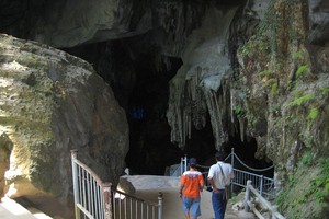 Quang Binh Province finds ways to protect National Park