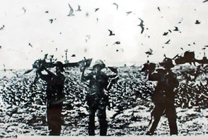 Ngày 25-4-1975: Giải phóng đảo Sơn Ca