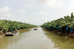 Khát vọng tìm “đường sống” đổi đời nông dân