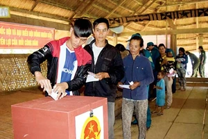 Những lá phiếu bầu cử sớm