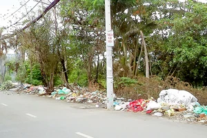 Sau tết, đổ rác đầy đường