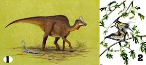 Phát hiện hóa thạch các loài khủng long lạ