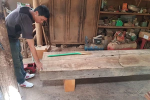 Phát hiện thêm nhiều điểm tập kết gỗ “khủng” tại Đắk Lắk