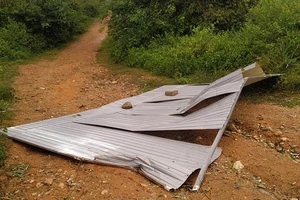 Đắk Lắk: Gió lớn, một người bị tôn bay trúng tử vong