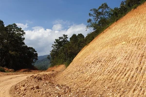 Chủ đầu tư đã ngang nhiên san ủi, hủy hoại hơn 15ha rừng đặc dụng để làm đường