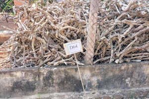 Đắk Lắk: Làm rõ việc “cò” đất cắm bảng quy hoạch giả để trục lợi