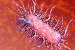 Đắk Lắk: Ghi nhận 1 trường hợp nhiễm "vi khuẩn ăn thịt người"
