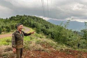 Vụ cấp sai 65 sổ đỏ ở Đắk Nông: Nguyên lãnh đạo huyện hợp thức hóa đất rừng cho vợ làm cây xăng