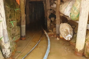 Xử lý dứt điểm tình trạng khai thác vàng trái phép ở Đắk Nông