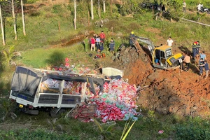 Đắk Nông: Xe tải chở hàng lao xuống vực, tài xế tử vong