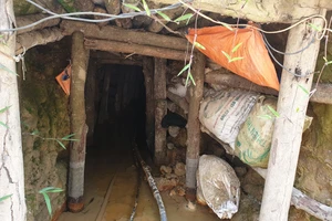 Ba người chết ngạt trong hầm khai thác vàng ở Đắk Nông