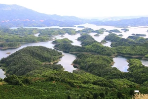 Đắk Nông nâng cấp Vườn Quốc gia Tà Đùng trực thuộc UBND tỉnh