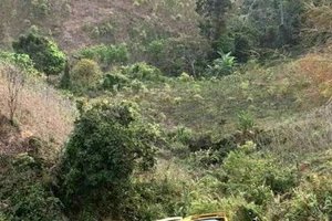 Vụ xe khách lao xuống vực tại đèo Lò Xo: Thiết bị giám sát hành trình không hoạt động