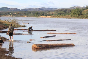 Kon Tum: Liên tiếp phát hiện 3 vụ tàng trữ gỗ lậu