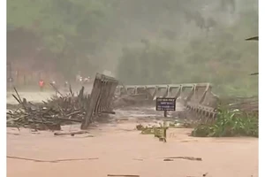Bắc Tây Nguyên: Cầu bị cuốn trôi, 3 thôn bị cô lập, đã có người chết 