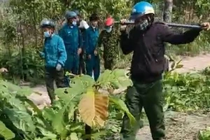 Nhân viên bảo vệ rừng bị dọa “giết cả nhà“