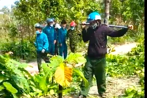 Tổng cục Lâm nghiệp vào cuộc vụ nhân viên bảo vệ rừng bị dọa “giết cả nhà"