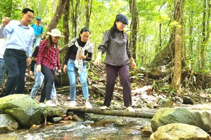Đoàn công tác TPHCM khảo sát tiềm năng du lịch ở Vườn quốc gia Kon Ka Kinh