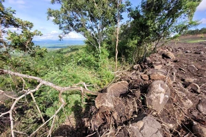 Lâm tặc “xẻ thịt” hơn 3,1ha rừng phòng hộ ở núi Hbông