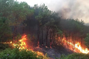 Phát hiện thi thể 2 công nhân sau khi dập tắt cháy rừng