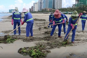 Đà Nẵng thu gom hơn 1.300 tấn rác phát sinh do bão số 5