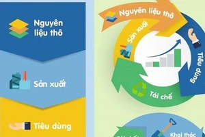 Đà Nẵng có mạng lưới kinh tế tuần hoàn hướng đến môi trường xanh