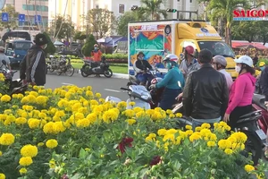 Chợ hoa Đà Nẵng ngày cận Tết: giá tăng nhẹ, tấp nập bán mua