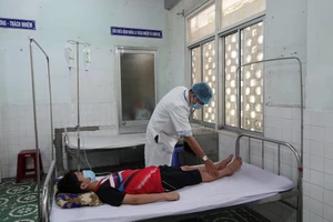 Số ca nhiễm sốt xuất huyết tại TP Đà Nẵng tăng cao 