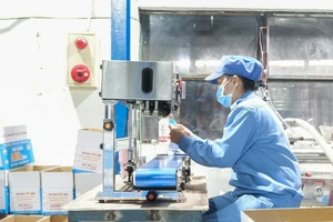 Công nhân sản xuất tại Công ty TNHH Sản xuất keo dán vải nhám Bá Lộc (Khu công nghiệp Hòa Khánh, quận Liên Chiểu, TP Đà Nẵng)