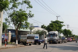 Một hàng xe trên đường số 1, Khu công nghiệp Hòa Cầm, quận Cẩm Lệ, TP Đà Nẵng. Ảnh: XUÂN QUỲNH