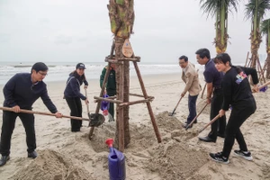 Lãnh đạo UBND TP Đà Nẵng, Sở Du lịch TP Đà Nẵng cùng các đơn vị trồng dừa ngay sau buổi lễ. Ảnh: XUÂN QUỲNH