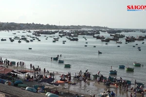 Chợ cá Phan Thiết - phiên chợ làng chài