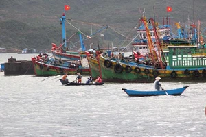 Chấm dứt tình trạng tàu cá Việt Nam vi phạm quy định đánh bắt thủy sản