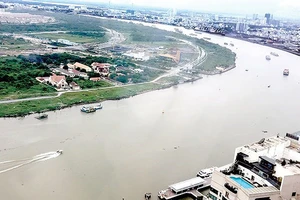 Nghiên cứu thiết kế kiến trúc cầu đi bộ qua sông Sài Gòn