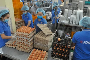 Chế biến trứng tại Công ty cổ phần Thực phẩm Vĩnh Thành Đạt. Ảnh: CAO THĂNG