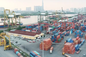 15 hãng tàu biển chấp nhận xử lý container hàng tồn