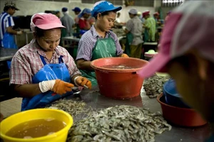 Thái Lan ban hành chính sách mới dành cho lao động nước ngoài