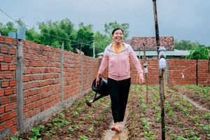 Cùng phụ nữ nông thôn Bình Định giải bài toán thoát nghèo từ chăn nuôi