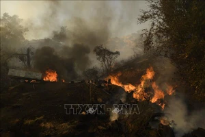  Cháy rừng tại California, Mỹ. Ảnh: AFP/TTXVN