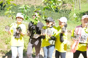 Nhân viên một doanh nghiệp ở TPHCM nhận cây giống miễn phí từ chị Phan Diệu Linh 