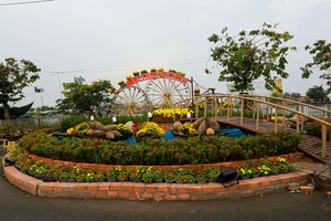 Chợ hoa Xuân Bình Điền 2021