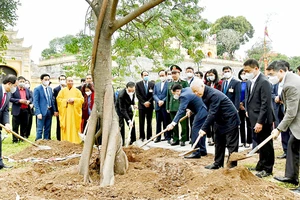 Tổng Bí thư, Chủ tịch nước Nguyễn Phú Trọng trồng cây lưu niệm tại Khu di tích Hoàng Thành Thăng Long. Ảnh: VIẾT CHUNG